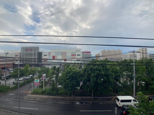 新道東駅 徒歩6分 4階の物件内観写真